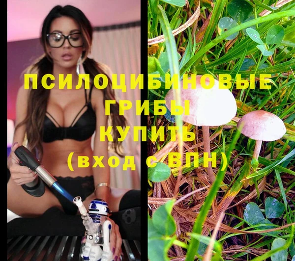 винт Липки