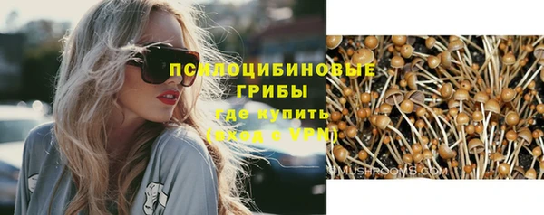 винт Липки