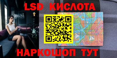 молекула духа Берёзовский