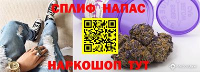 молекула духа Берёзовский