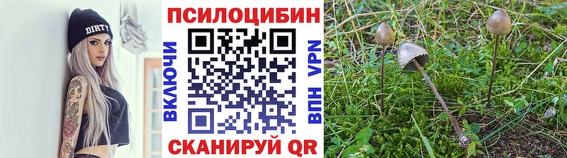 Галлюциногенные грибы Psilocybine cubensis  где найти   сайты даркнета Telegram  Красноуфимск 