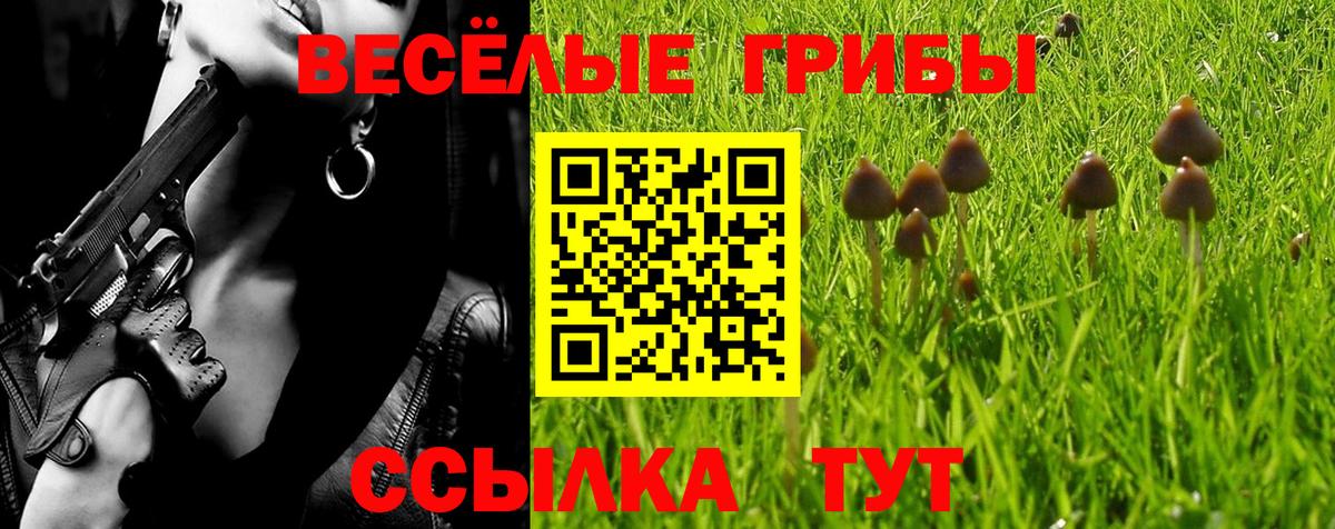 Галлюциногенные грибы Magic Shrooms  Вход с VPN  дарнет шоп  Красноуфимск  Псилоцибиновые грибы Magic Shrooms 