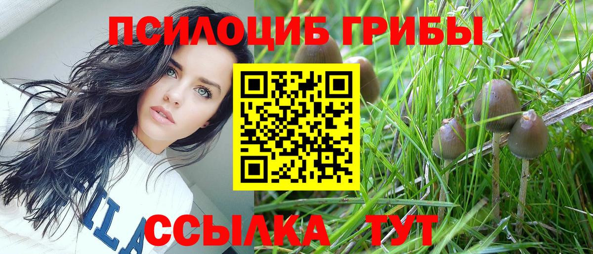 Галлюциногенные грибы Magic Shrooms Красноуфимск